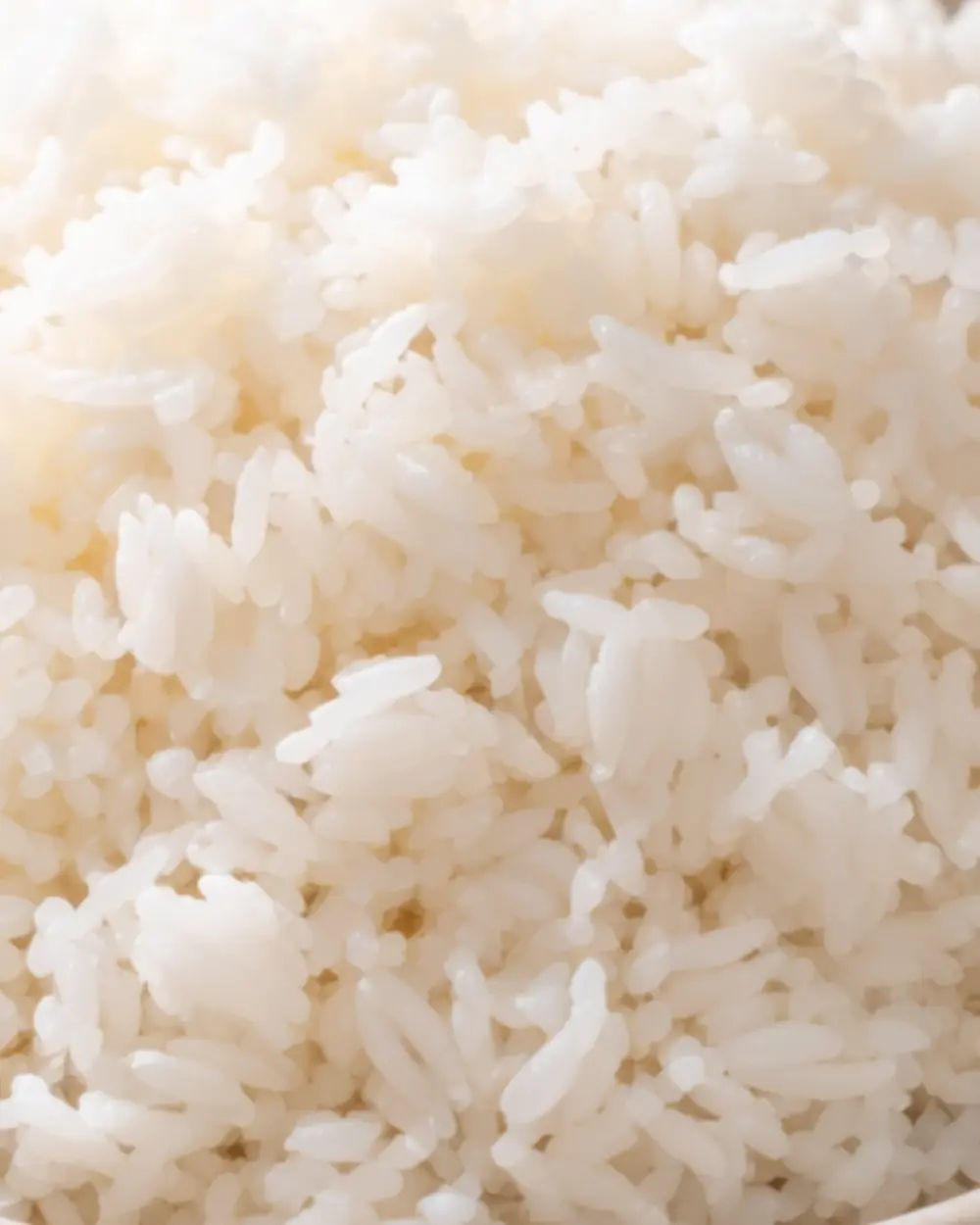 Plain Rice 